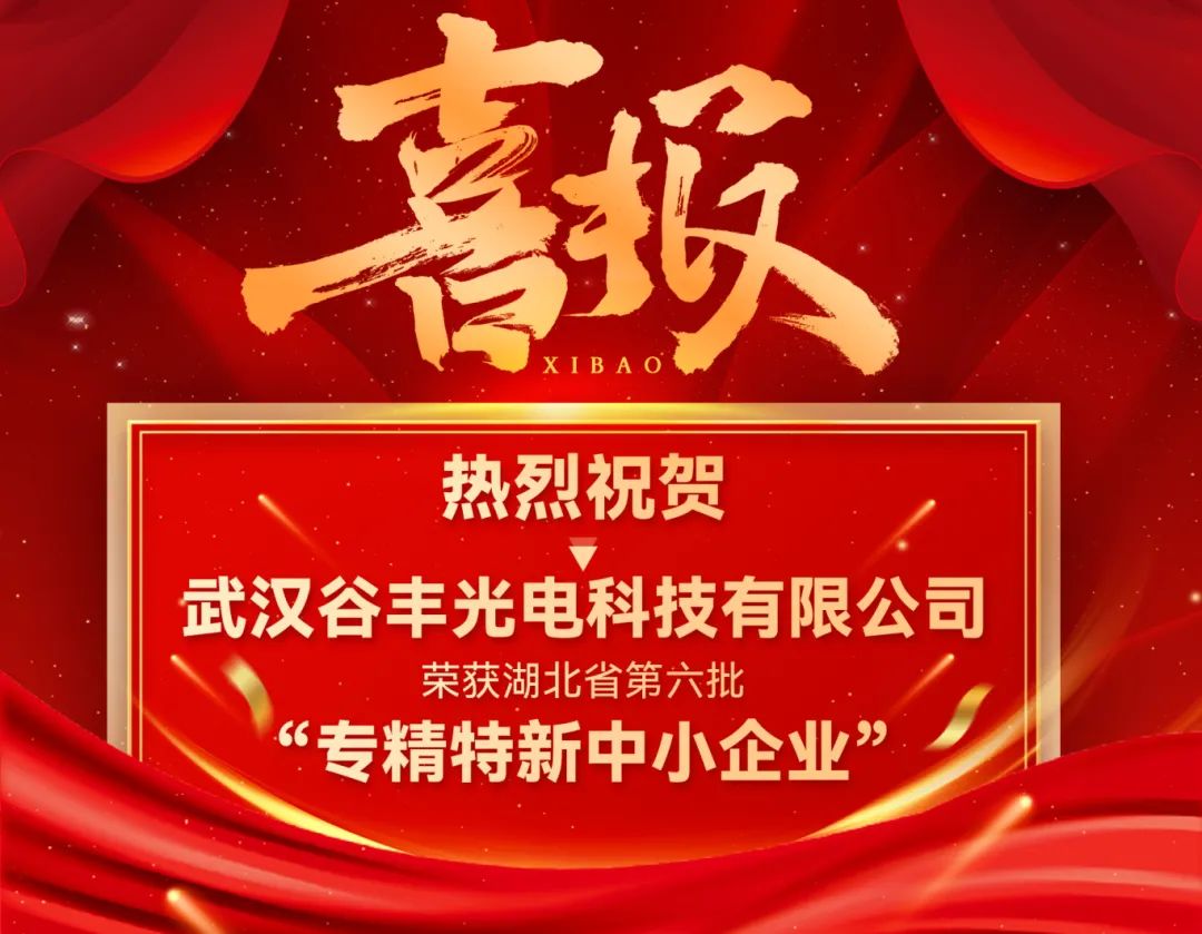 星空体育app官方下载荣获湖北省第六批专精特新中小企业认定！
